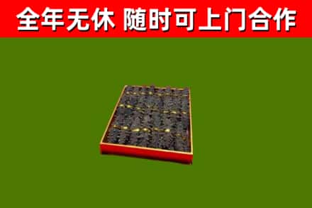 仁和区回收海参
